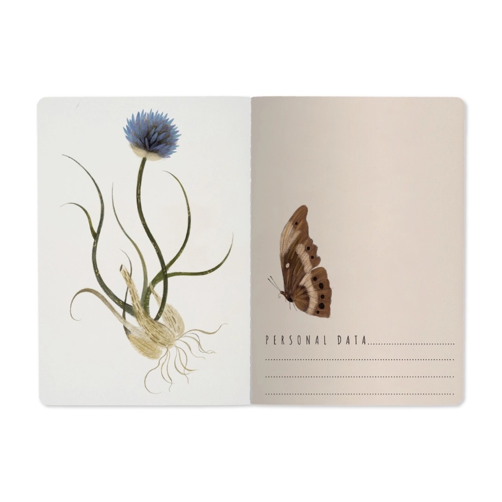 2 Pack Gorgeous Woodland Journals - BV by Bruno Visconti - Amazing Unique Gift - Picture 9 of 9